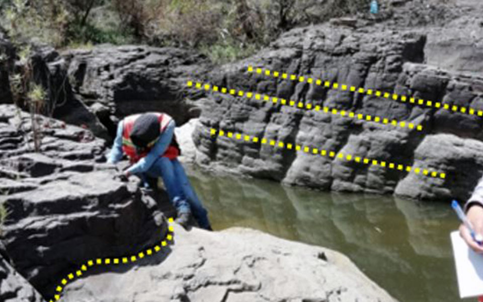 Identificación estratigráfica